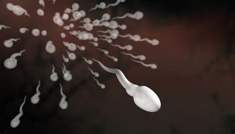 does boric acid affect birth control|Does Boric Acid Kill Sperm